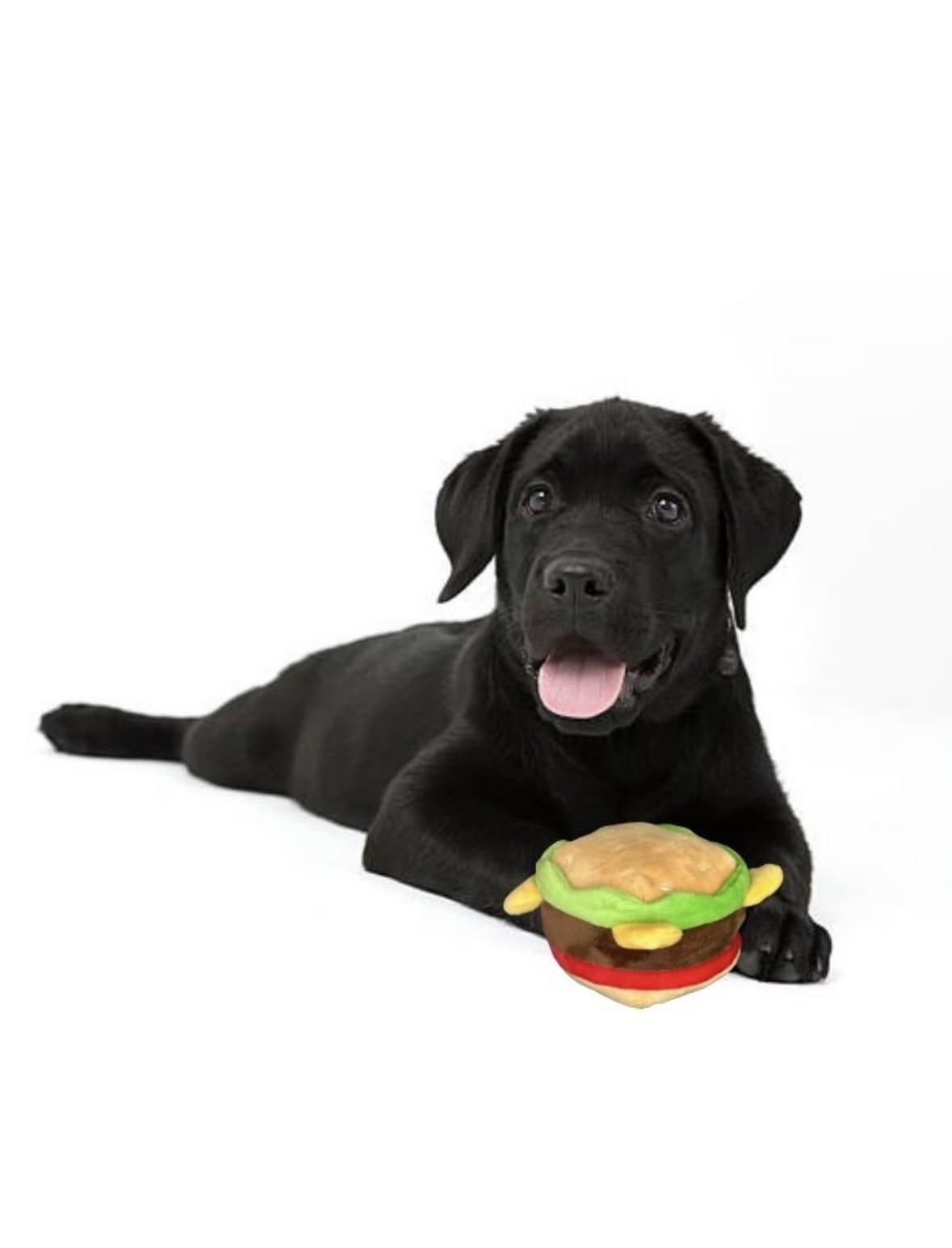 Hamburger Dog Toy with Squeaker V4708