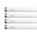 20 Watt T12 Fluorescent Tube Light Bulb Daylight 4 Count M594000