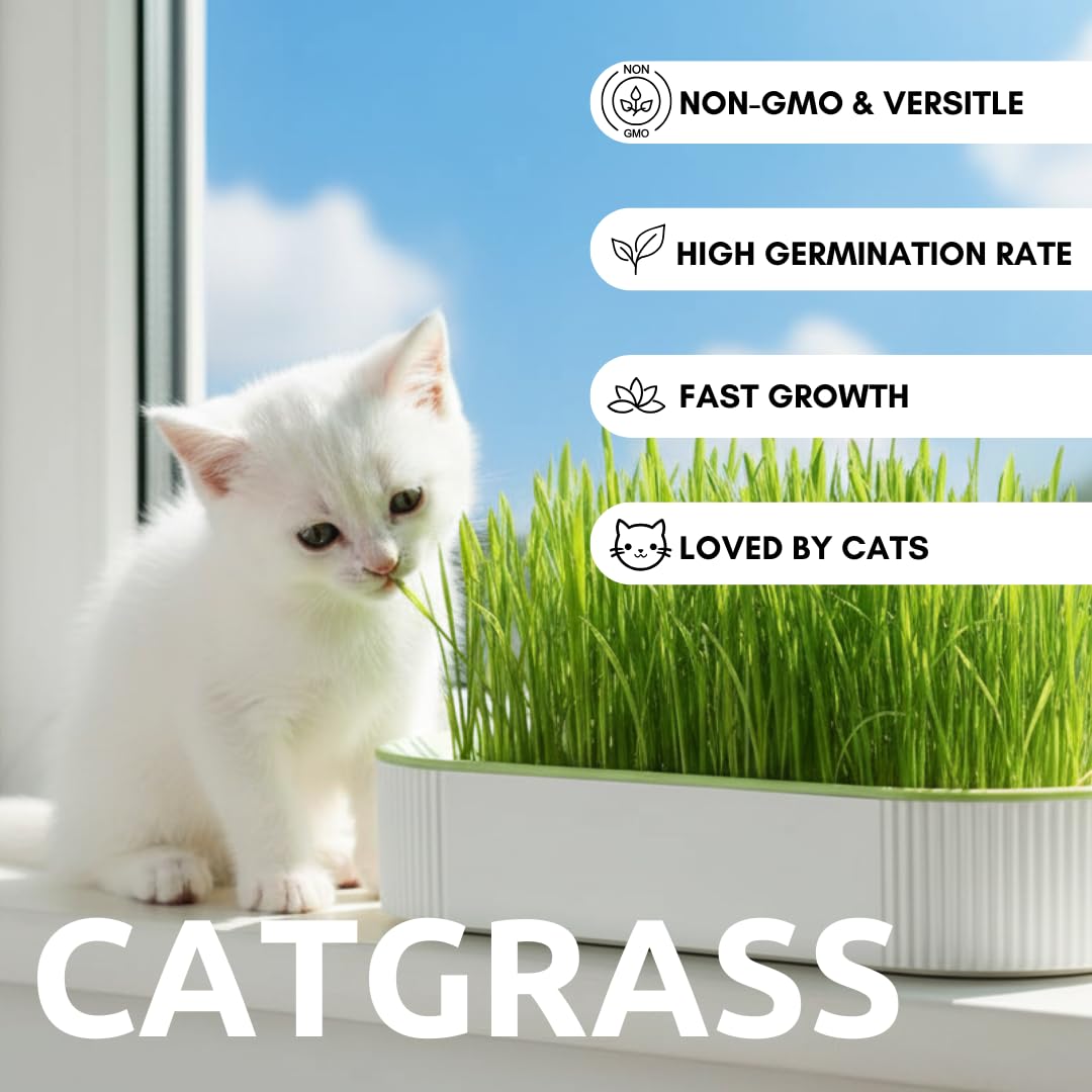 Hydroponic Cat Grass Grow Kit with 2 Oz Non-GMO Seeds H103