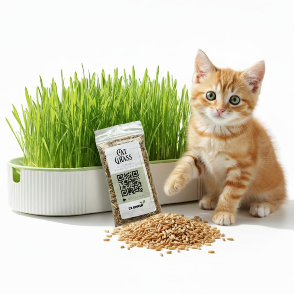 Hydroponic Cat Grass Grow Kit with 2 Oz Non-GMO Seeds H103
