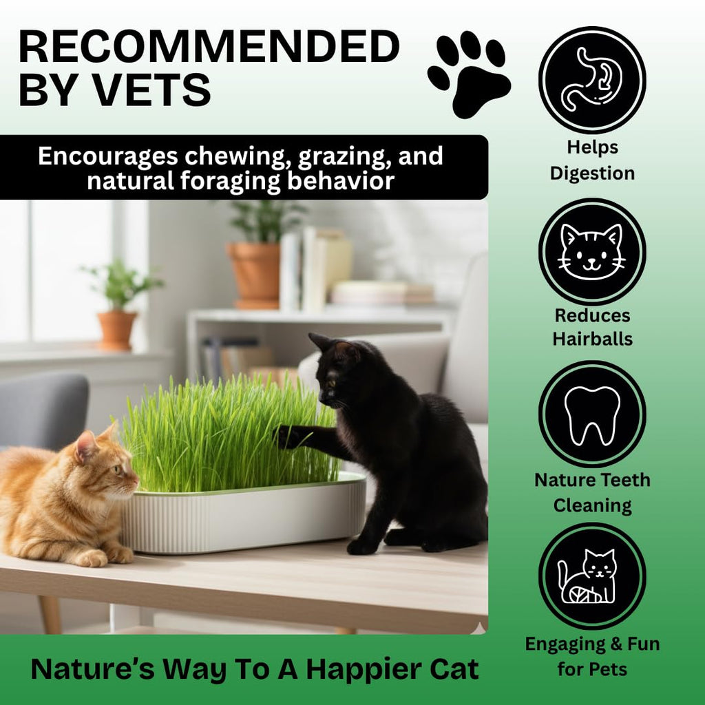 Hydroponic Cat Grass Grow Kit with 2 Oz Non-GMO Seeds H103