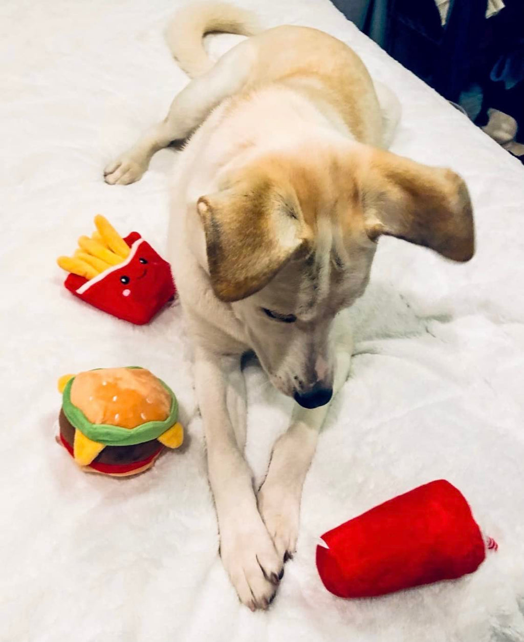 Hamburger Dog Toy with Squeaker V4708