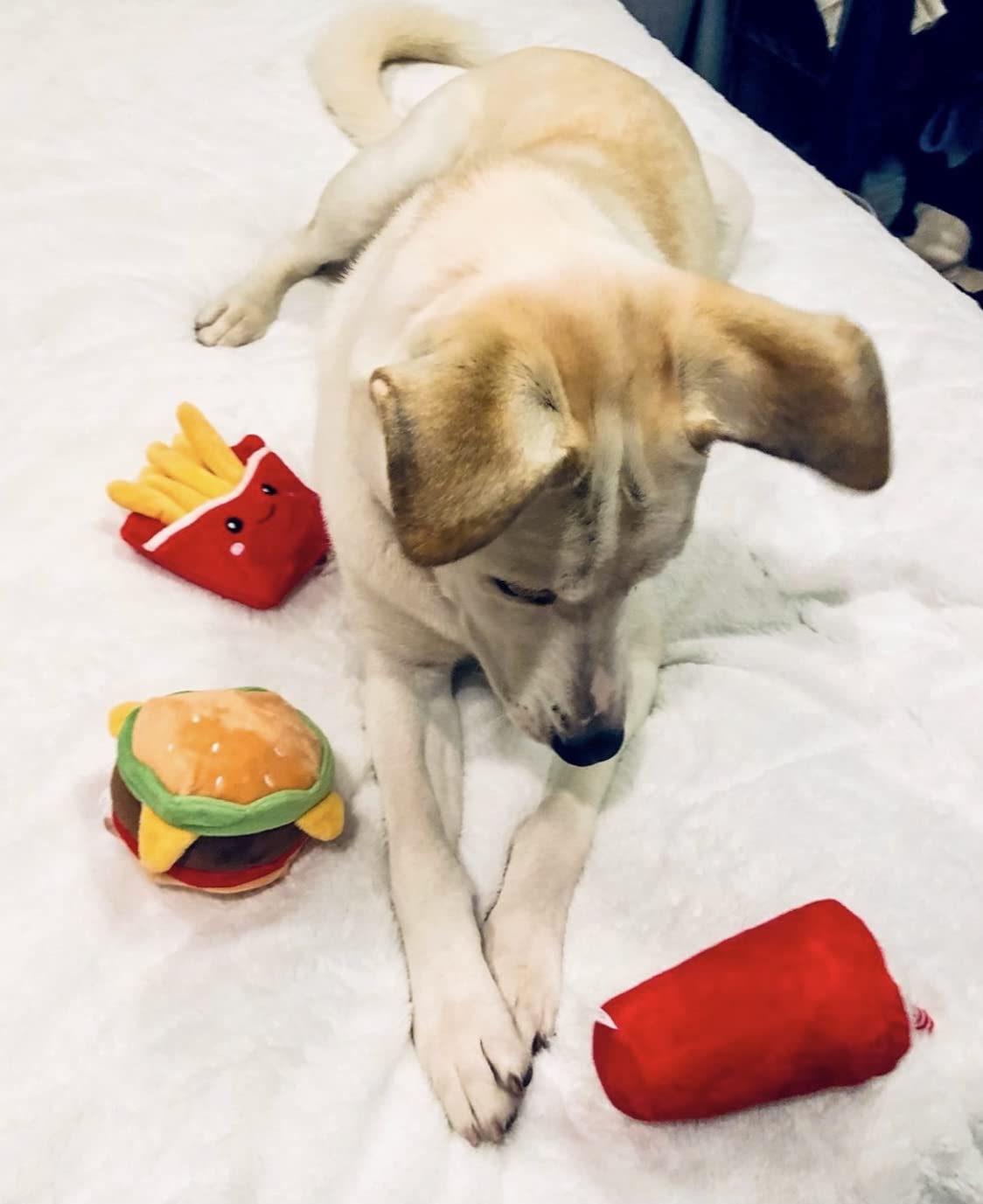 Hamburger Dog Toy with Squeaker V4708