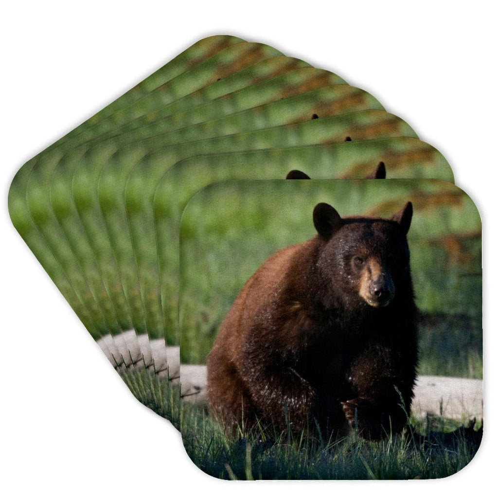 Set of 8 Cork Coasters W9945