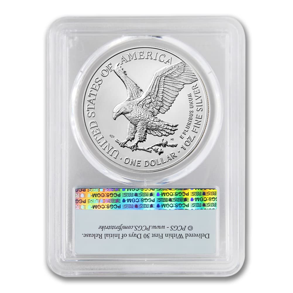 1 oz American Silver Eagle Coin MS-70 S970844