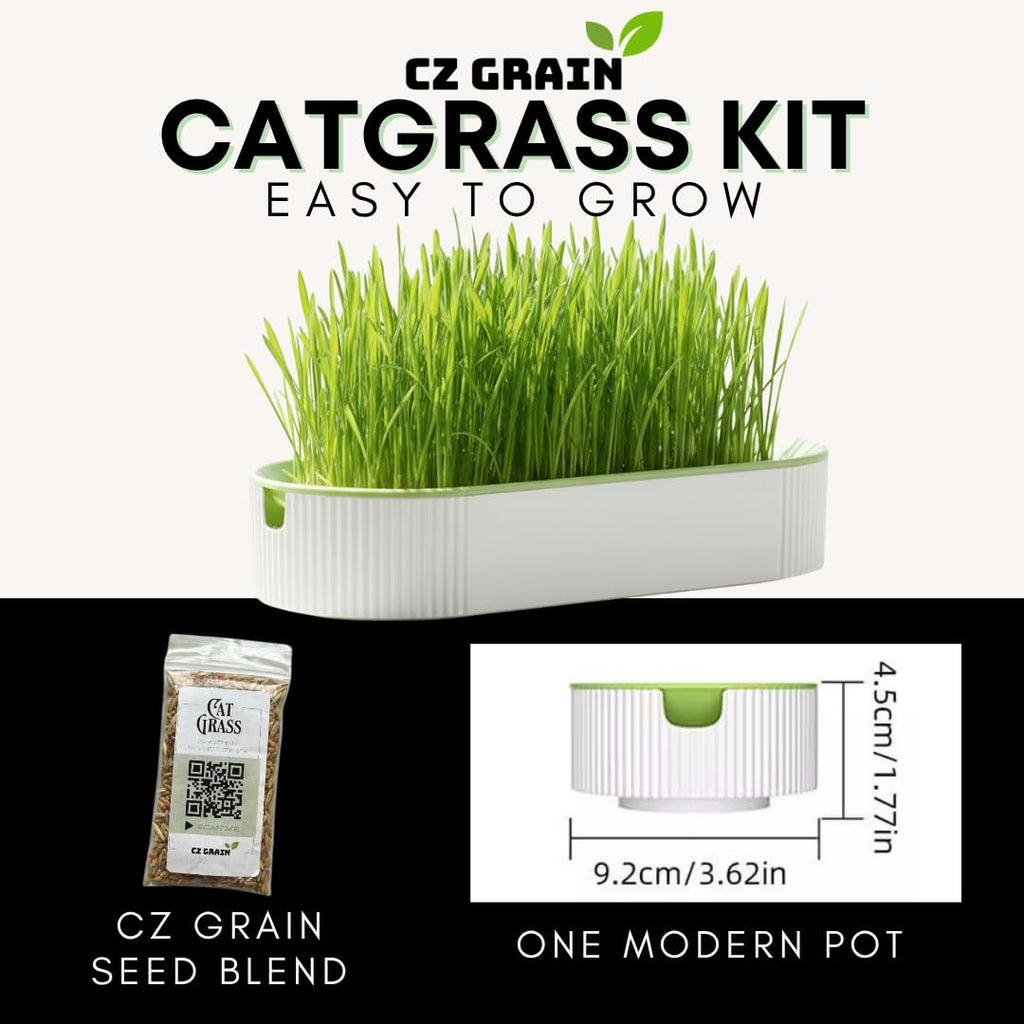 Hydroponic Cat Grass Grow Kit with 2 Oz Non-GMO Seeds H103