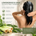Sulfate-Free Shampoo & Conditioner Set 8 oz I54906
