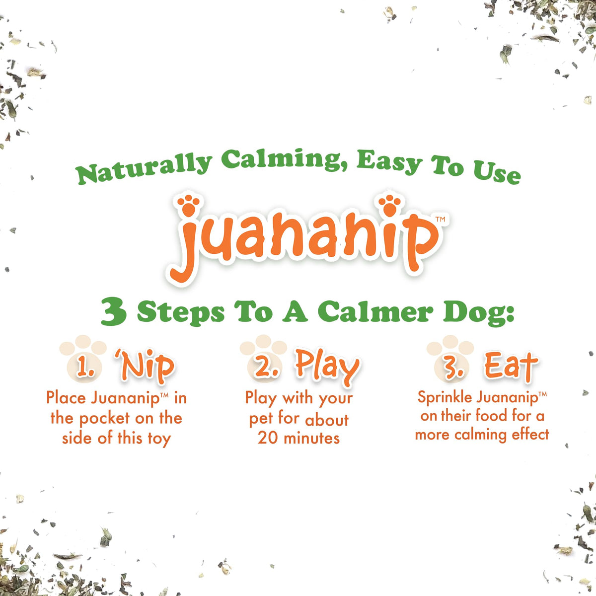 Squeaky Refillable Plush Dog Toy R222