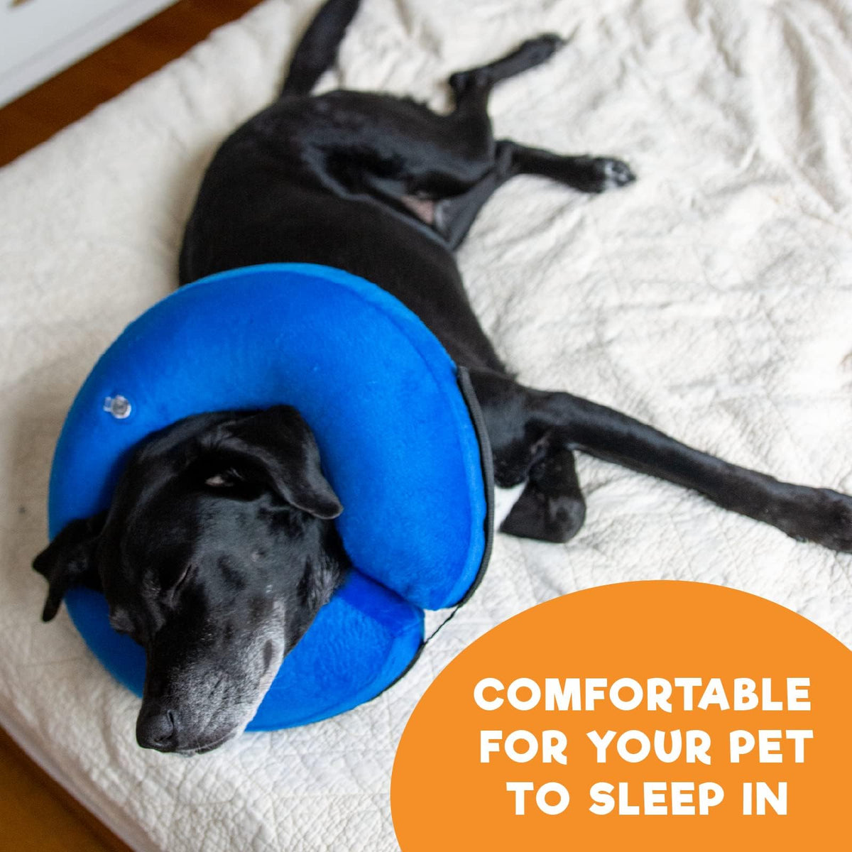 Inflatable Dog Cone Collar Alternative Large Blue L109