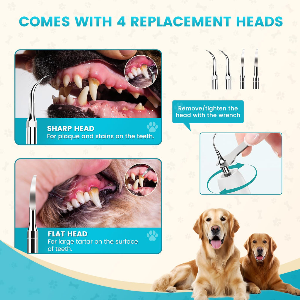 Dog Ultrasonic Tooth Cleaner with LED Light J672