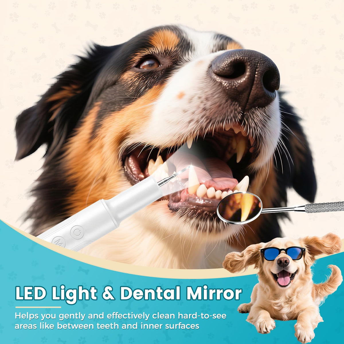 Dog Ultrasonic Tooth Cleaner with LED Light J672