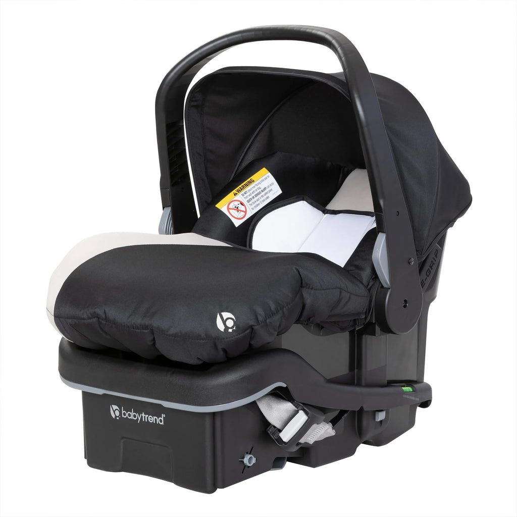 Double Stroller & 2 Car Seats A660775