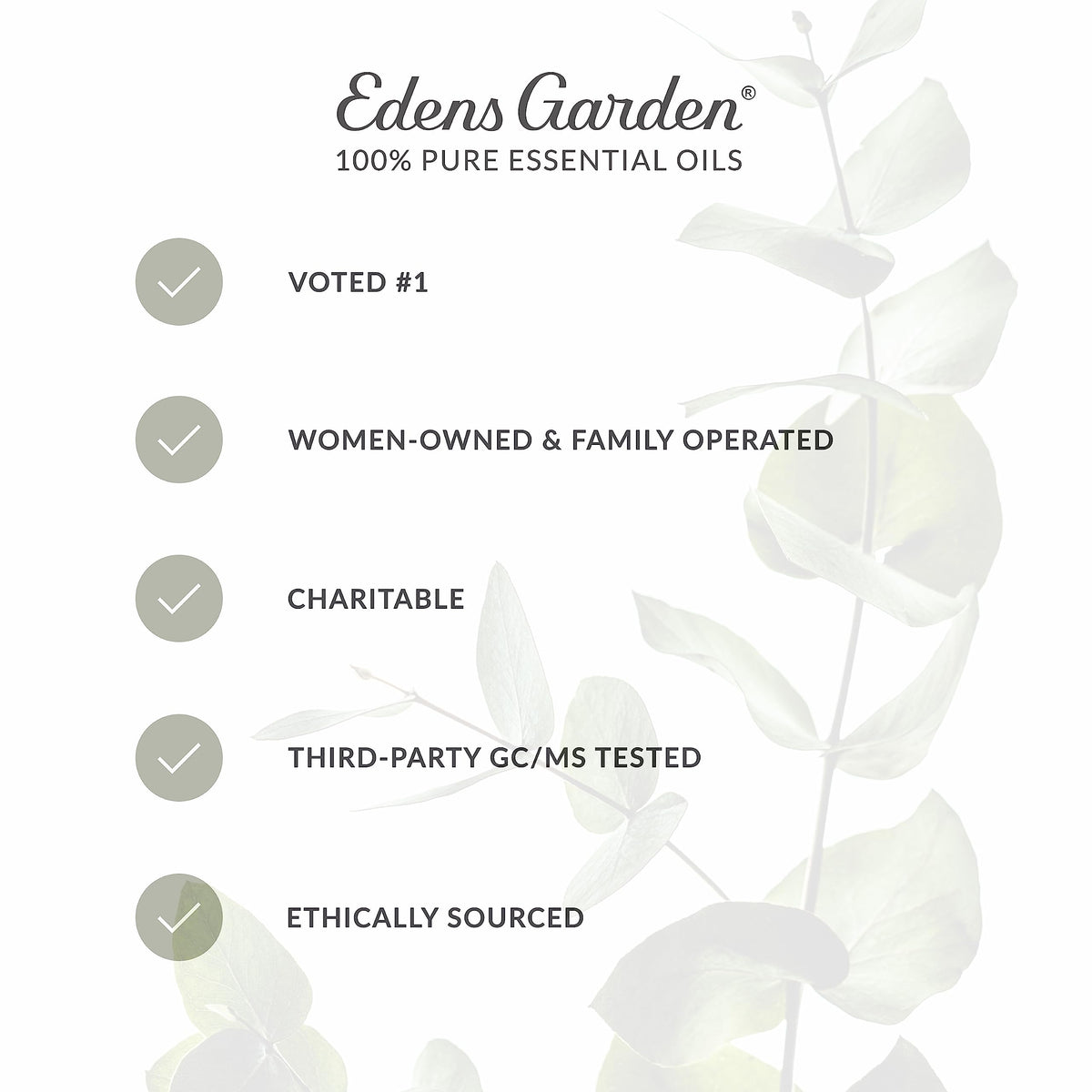 Frankincense Carterii Essential Oil 30 ml E596483