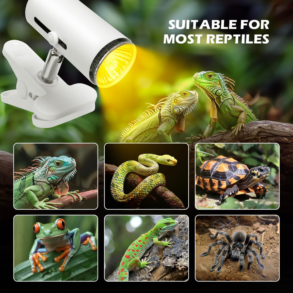 12x7x9 inch Reptile Terrarium with Heat Lamp R866