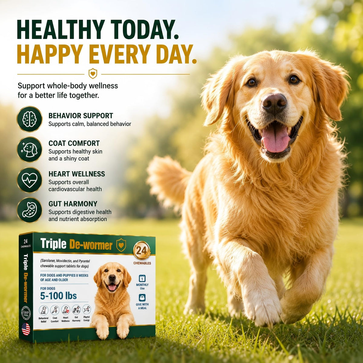 Broad Spectrum Dog Dewormer Tablets with Pyrantel Pamoate, 24 Tablets Y244784