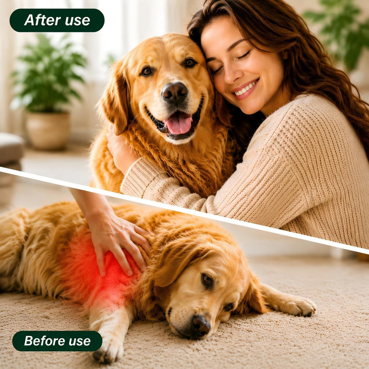 Broad Spectrum Dog Dewormer Tablets with Pyrantel Pamoate, 24 Tablets Y244784