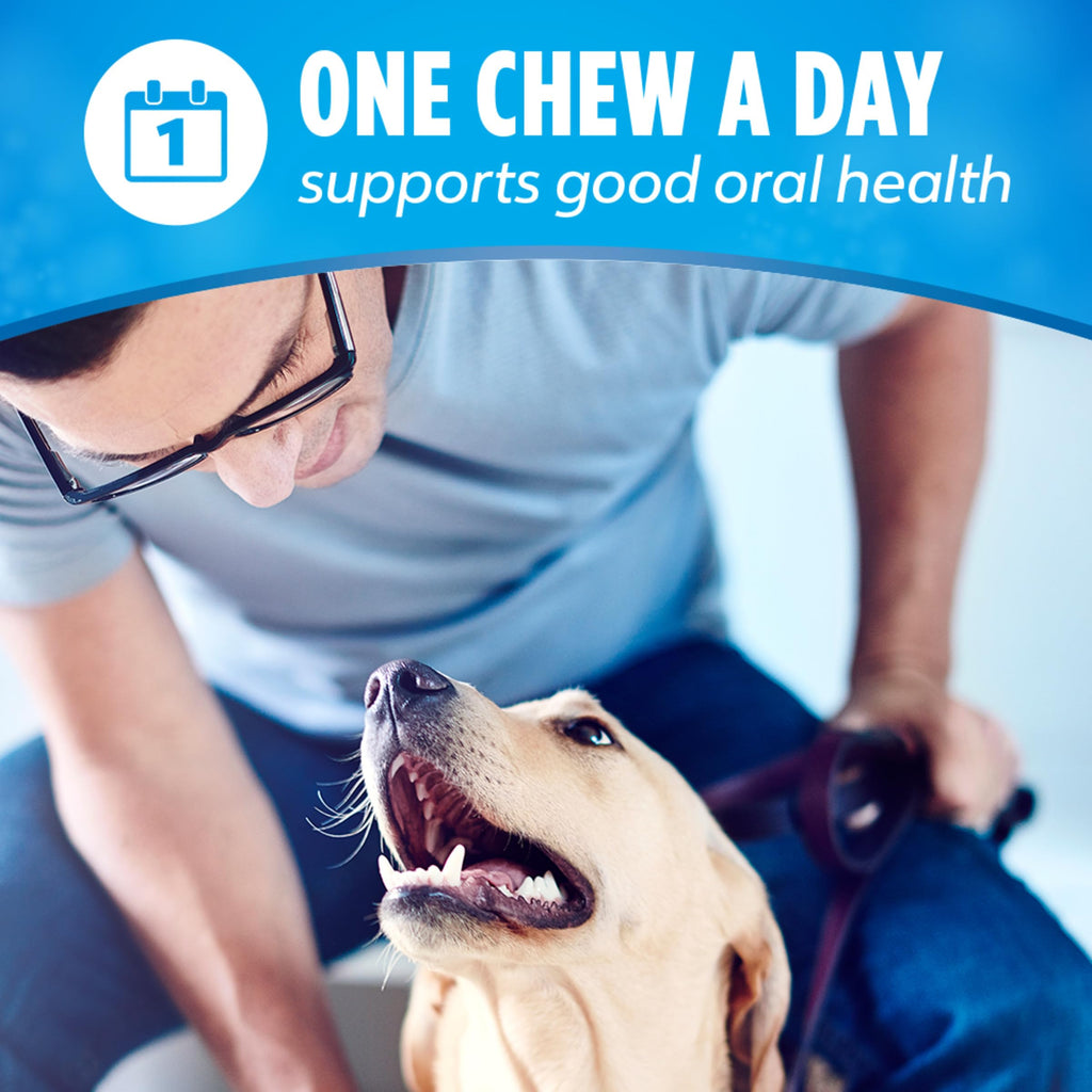 Daily Dental Chews for Large Dogs, 18 ct M87661
