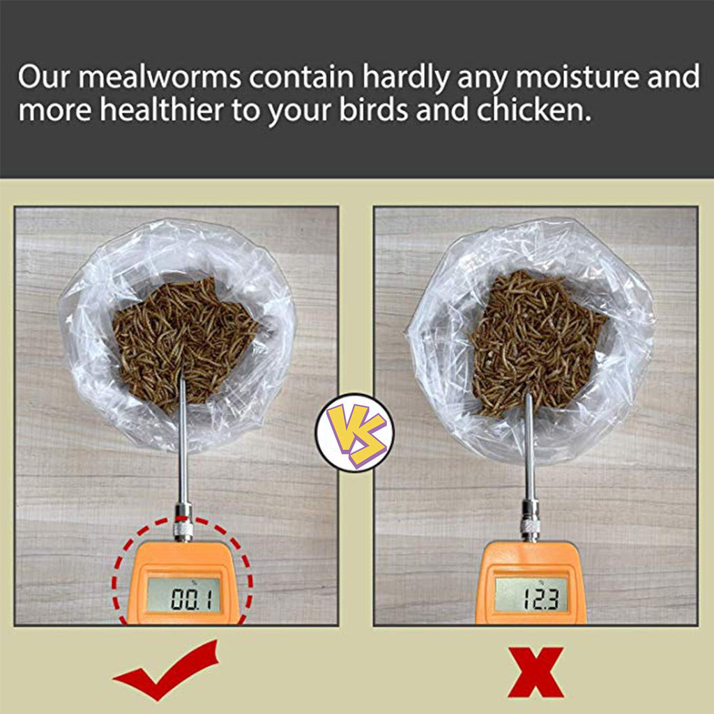 20 LBS Non-GMO Dried Mealworms B477016