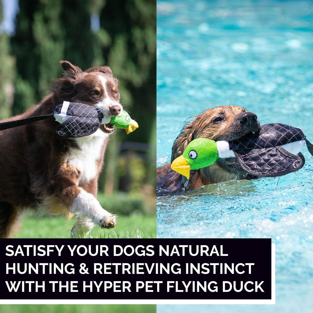 Large Duck Slingshot Fetching Dog Toy S692