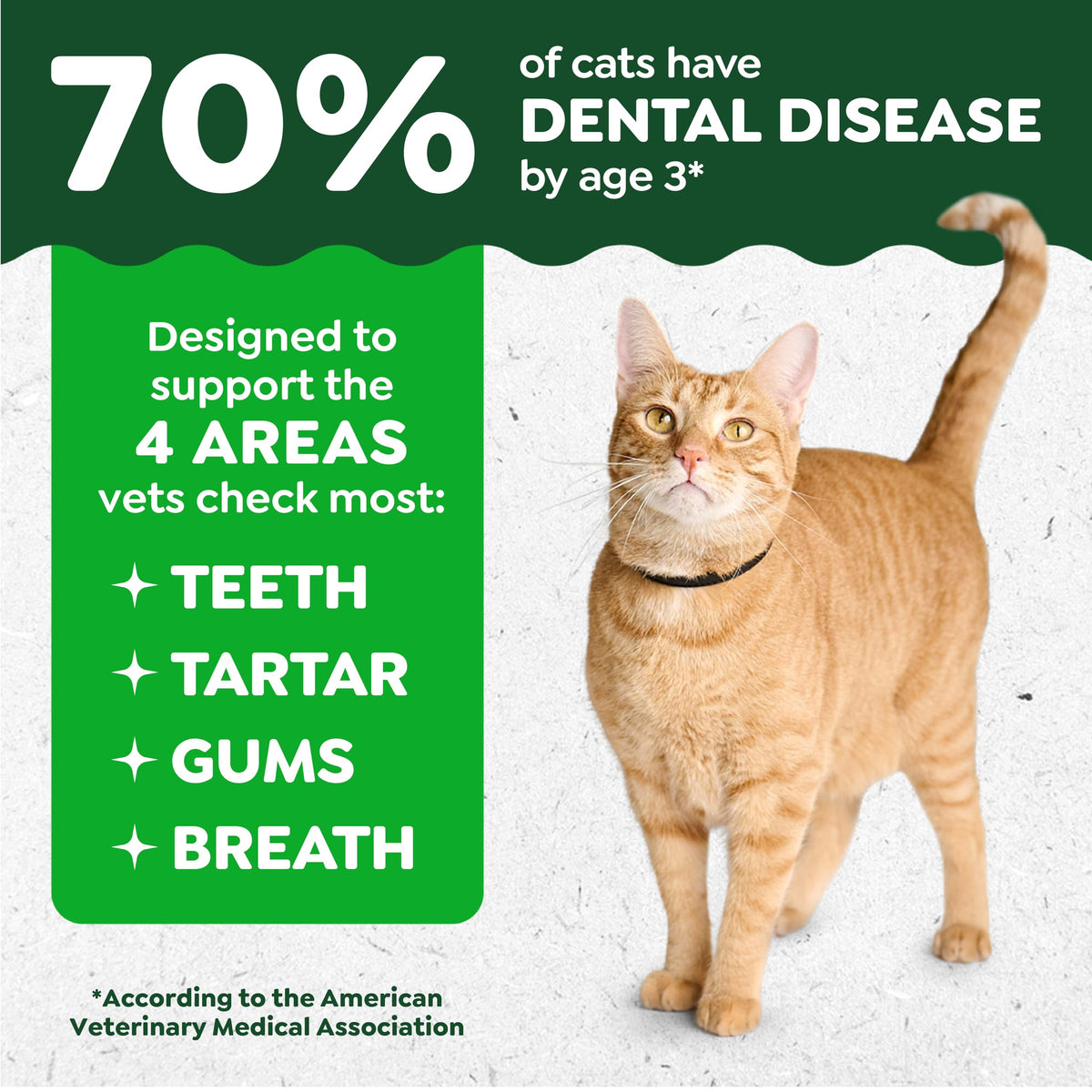 Catnip Flavor Dental Cat Treats 4.6 oz B990