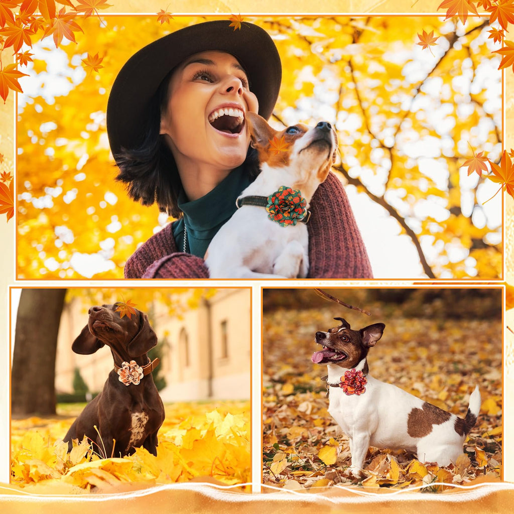 60 Pcs Fall Pet Bow F7329