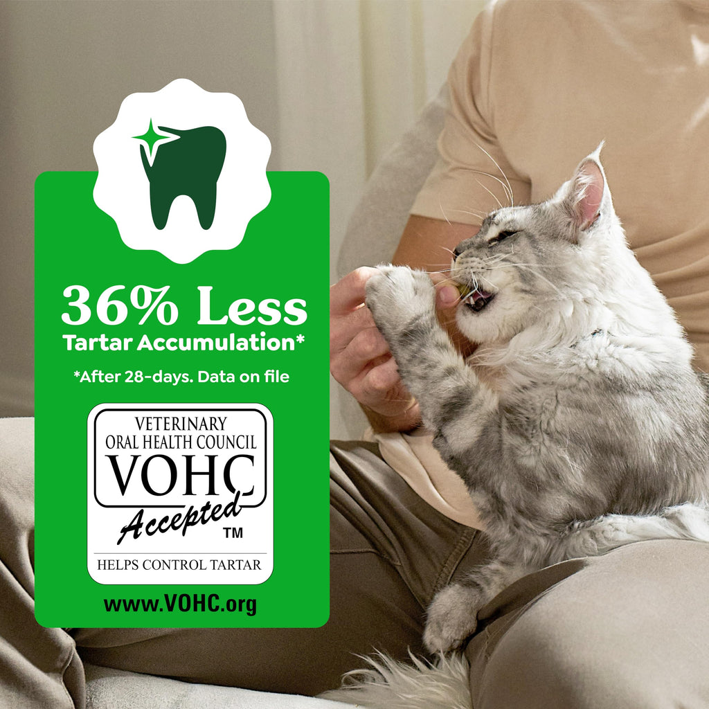 Catnip Flavor Dental Cat Treats 4.6 oz B990