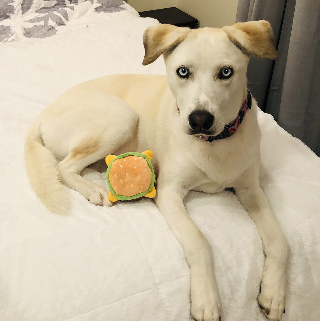 Hamburger Dog Toy with Squeaker V4708