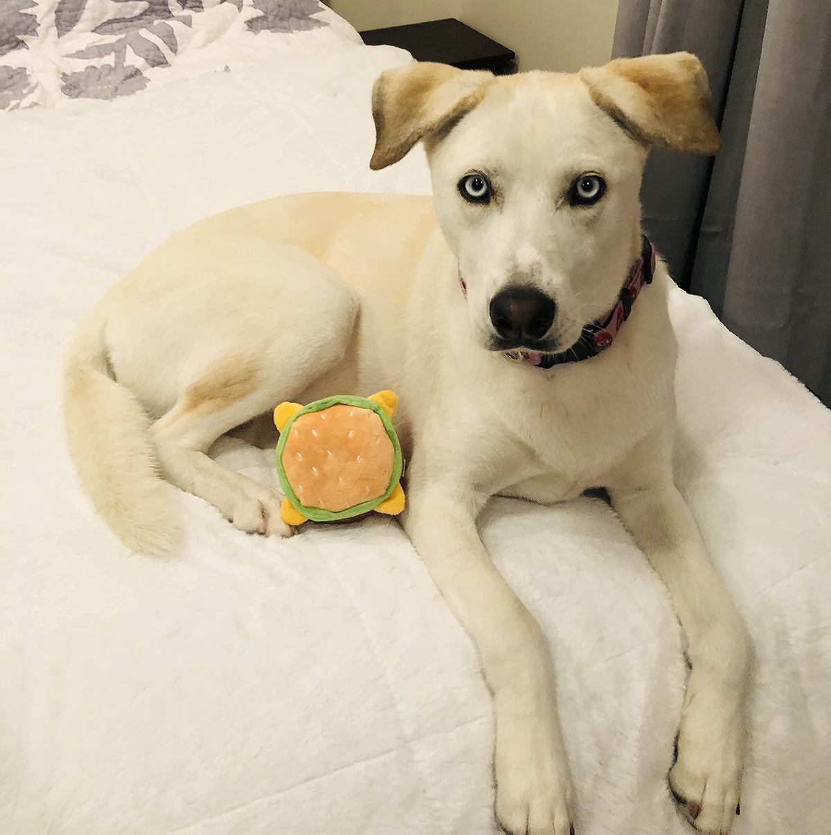 Hamburger Dog Toy with Squeaker V4708