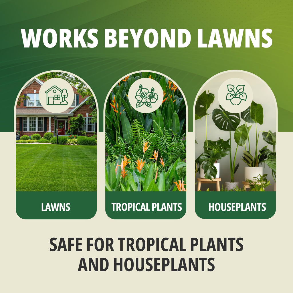 16-0-2 Phosphorus-Free Lawn Fertilizer, 1 Qt S72617