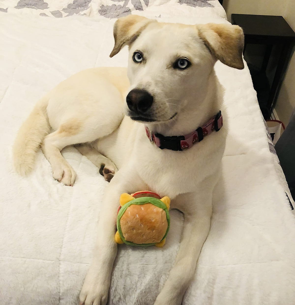 Hamburger Dog Toy with Squeaker V4708