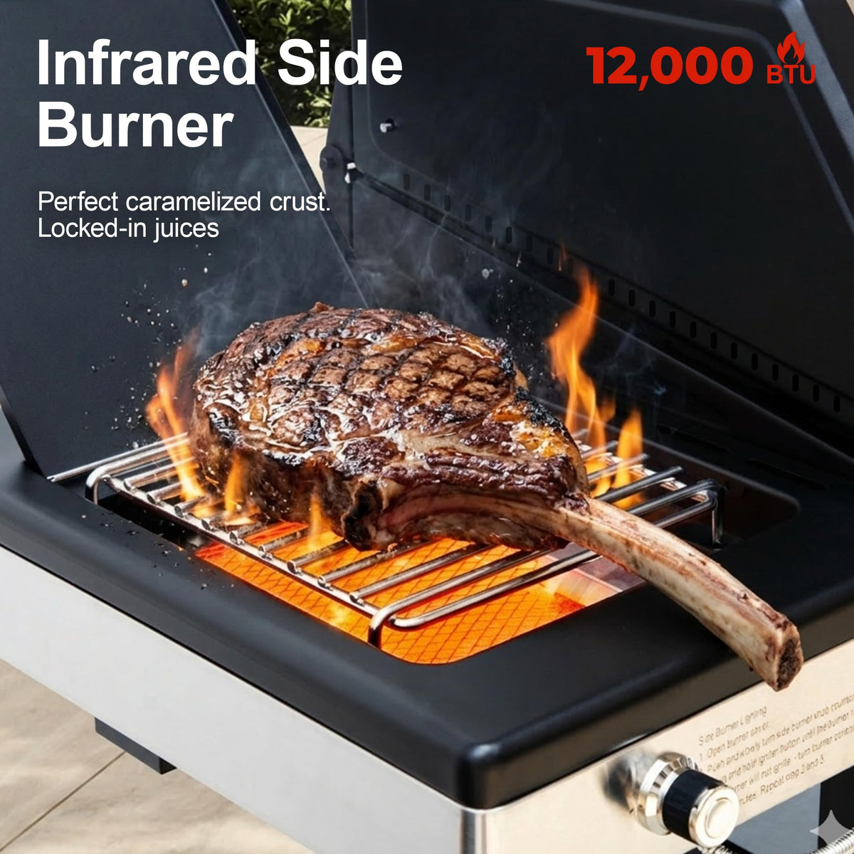 6-Burner Propane Gas Grill with Infrared Sear Side Burner B331071