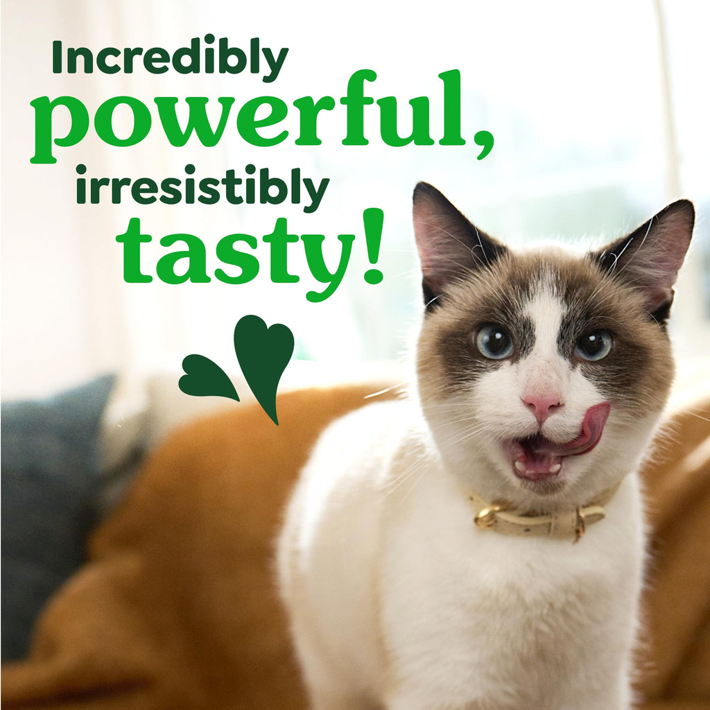 Catnip Flavor Dental Cat Treats 4.6 oz B990