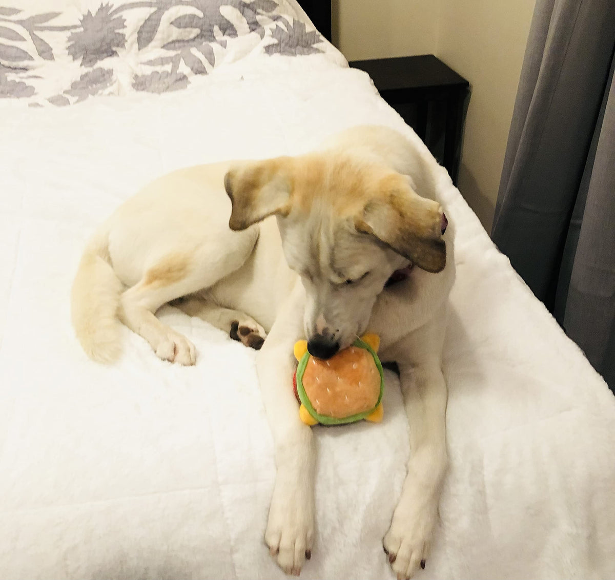 Hamburger Dog Toy with Squeaker V4708