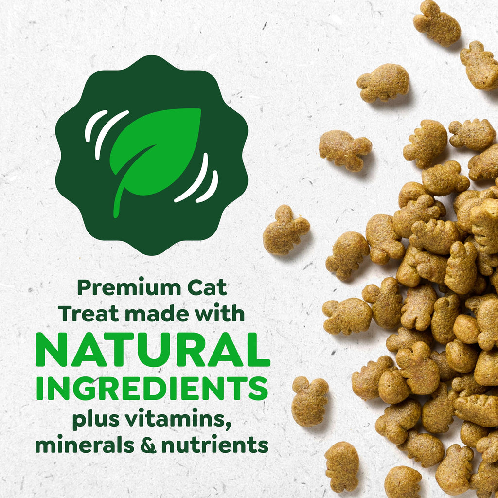 Catnip Flavor Dental Cat Treats 4.6 oz B990