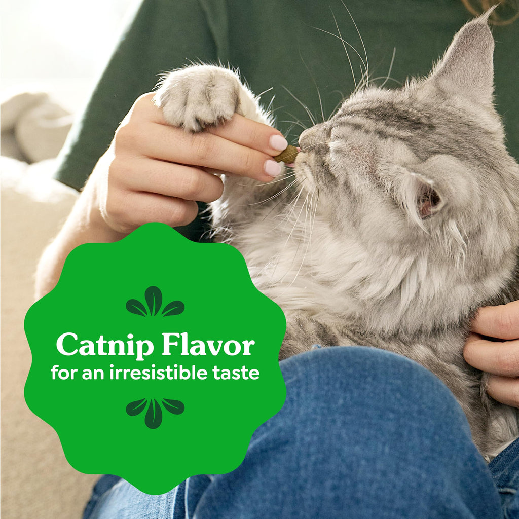Catnip Flavor Dental Cat Treats 4.6 oz B990