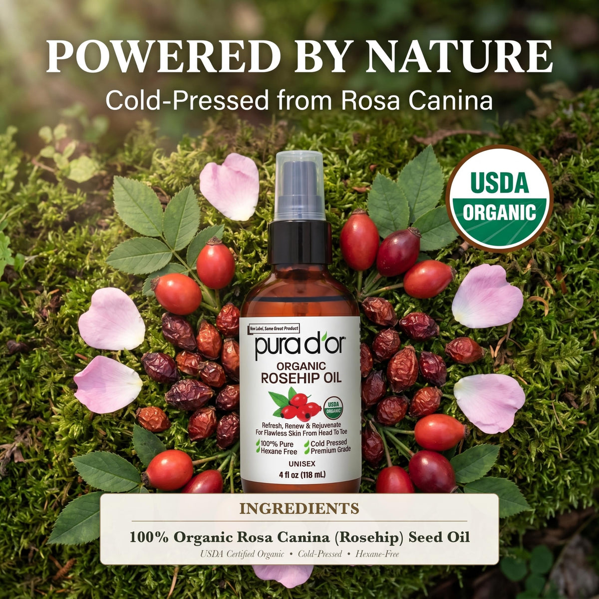 Organic Rosehip Seed Oil 4 oz W505110